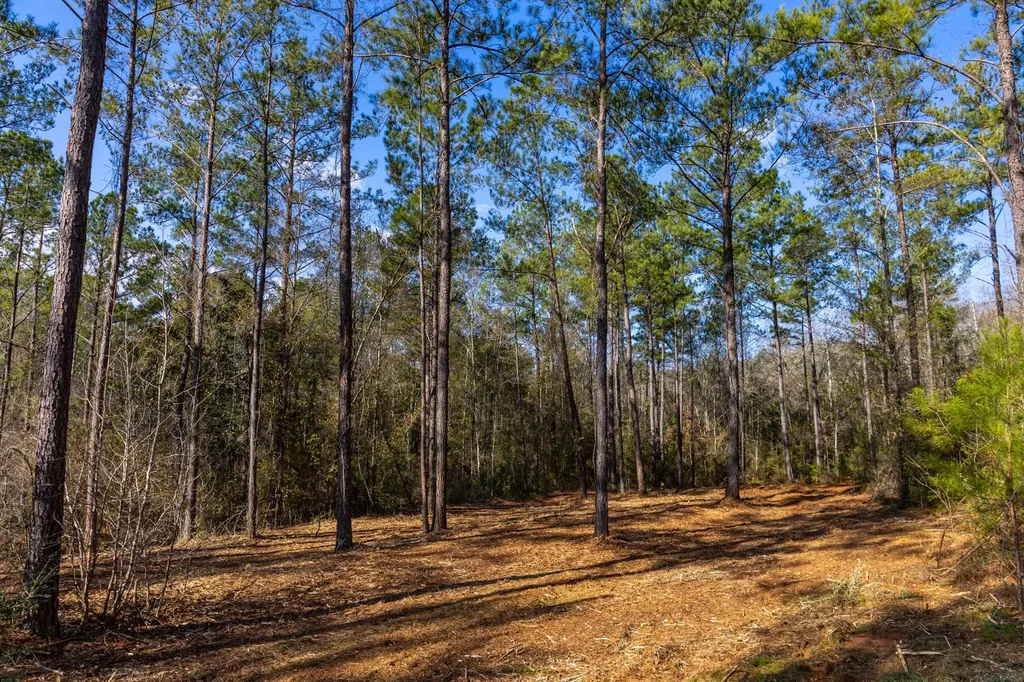 0 County Road 646 Coffee Springs AL 36318