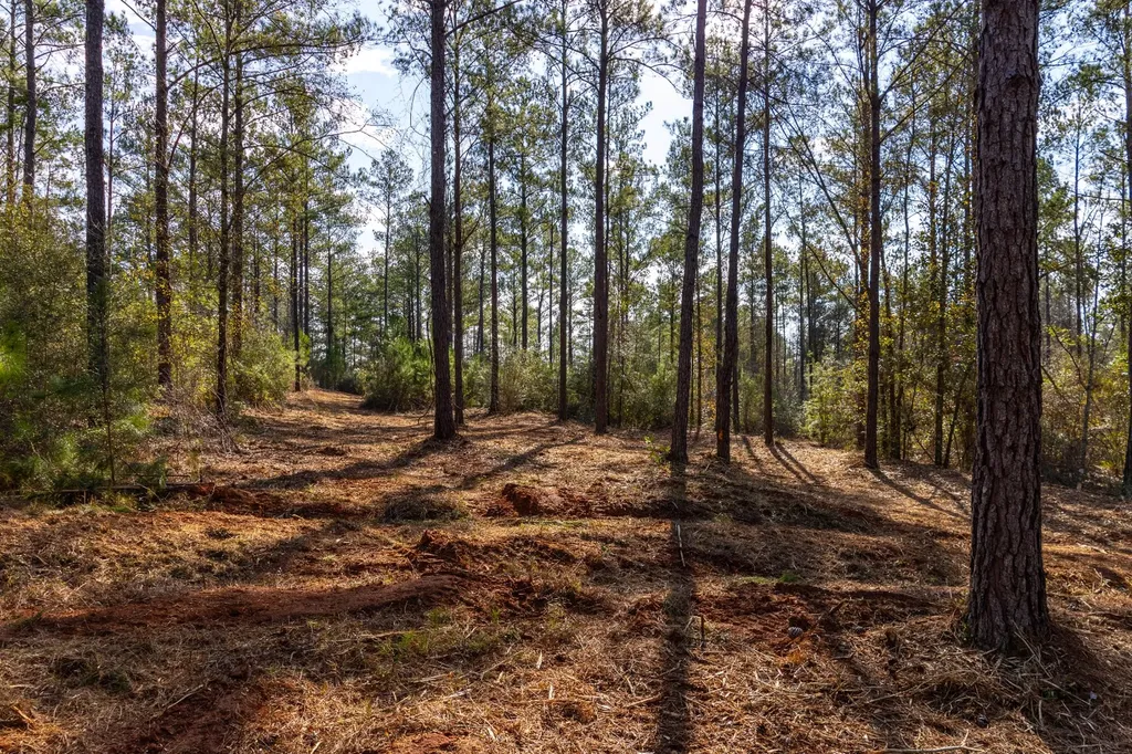 0 County Road 646 Coffee Springs AL 36318