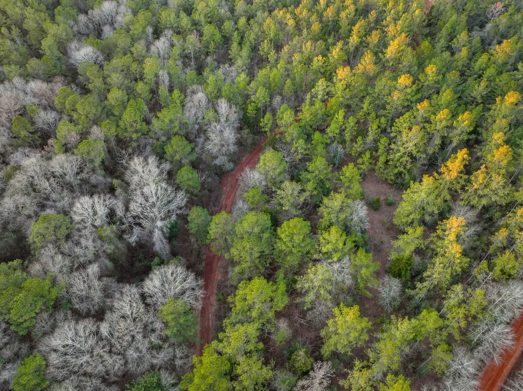 0 County Road 646 Coffee Springs AL 36318