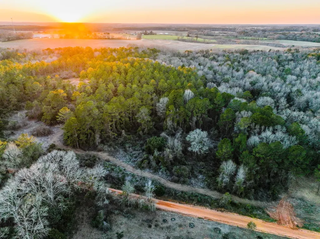 0 County Road 646 Coffee Springs AL 36318