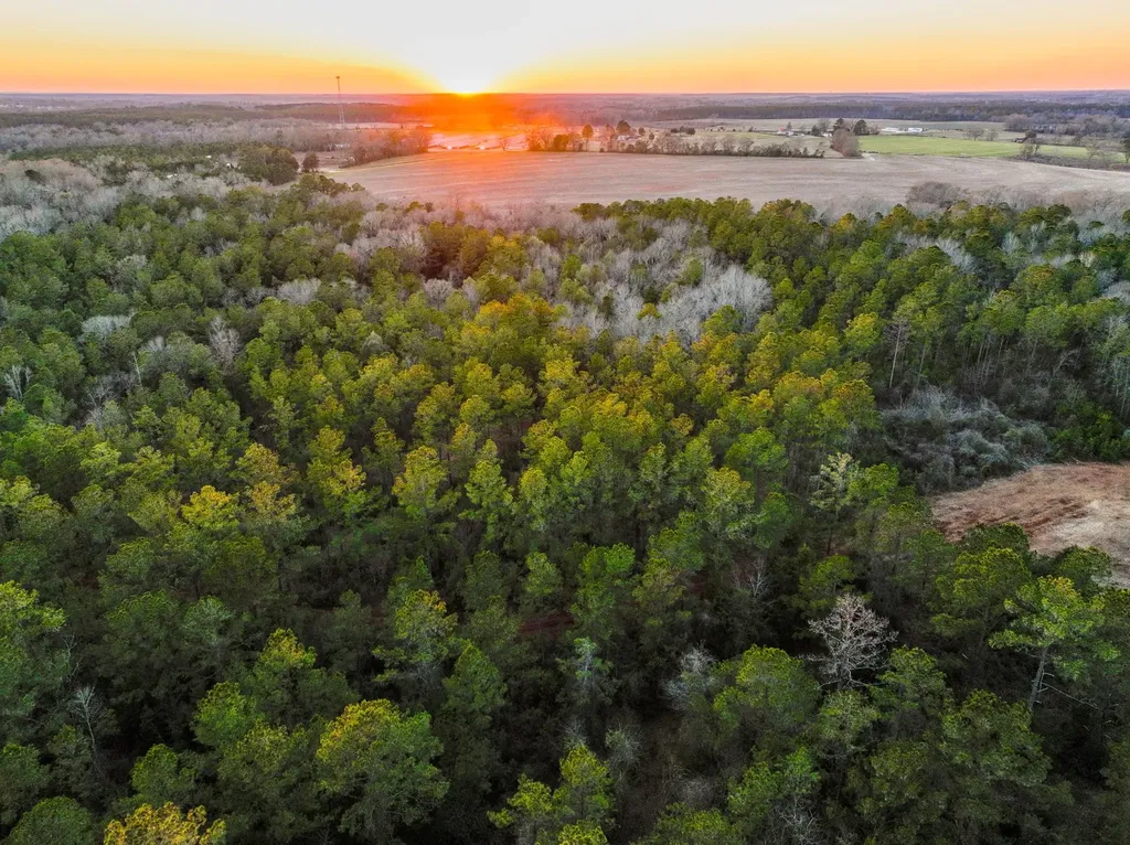 0 County Road 646 Coffee Springs AL 36318