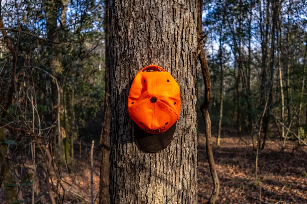 0 County Road 646 Coffee Springs AL 36318