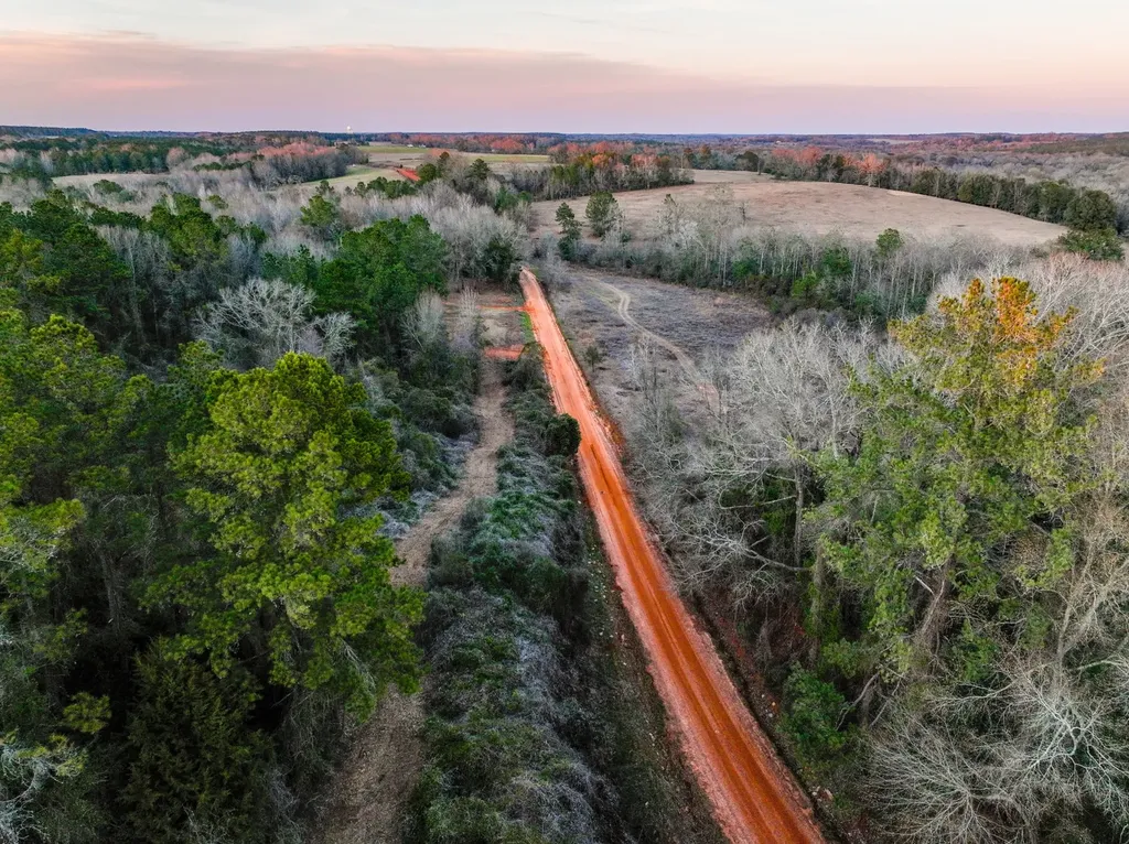 0 County Road 646 Coffee Springs AL 36318