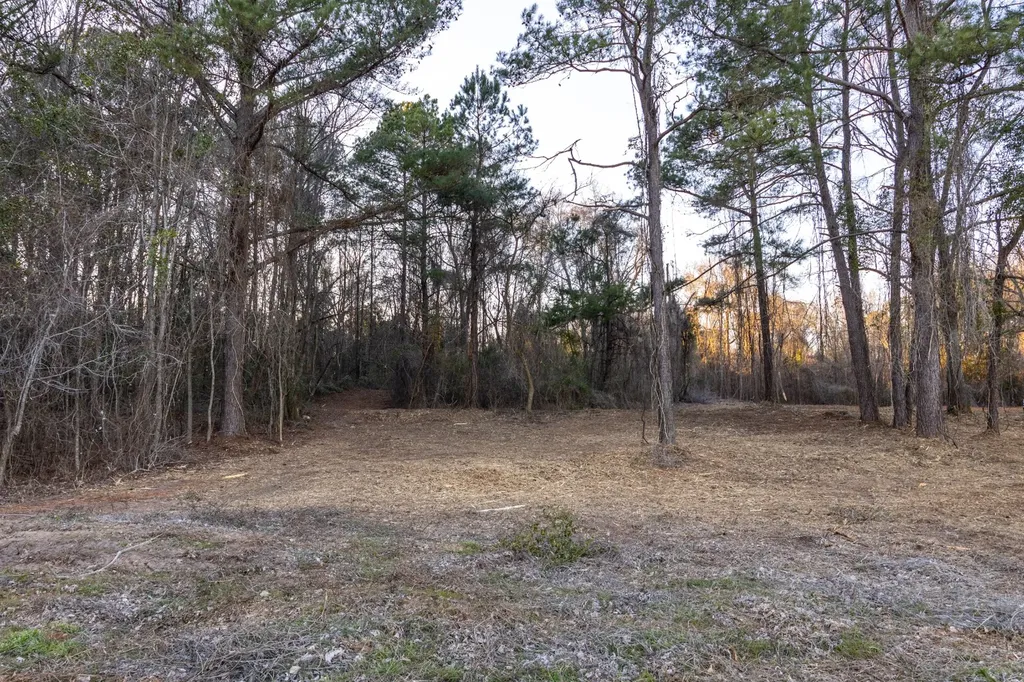 0 County Road 646 Coffee Springs AL 36318