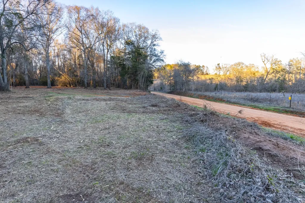 0 County Road 646 Coffee Springs AL 36318