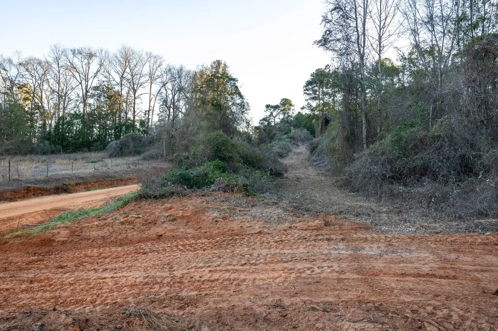 0 County Road 646 Coffee Springs AL 36318