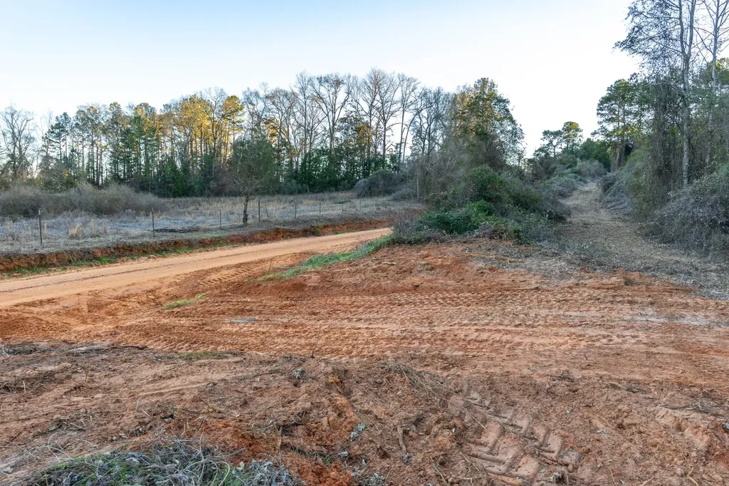 0 County Road 646 Coffee Springs AL 36318