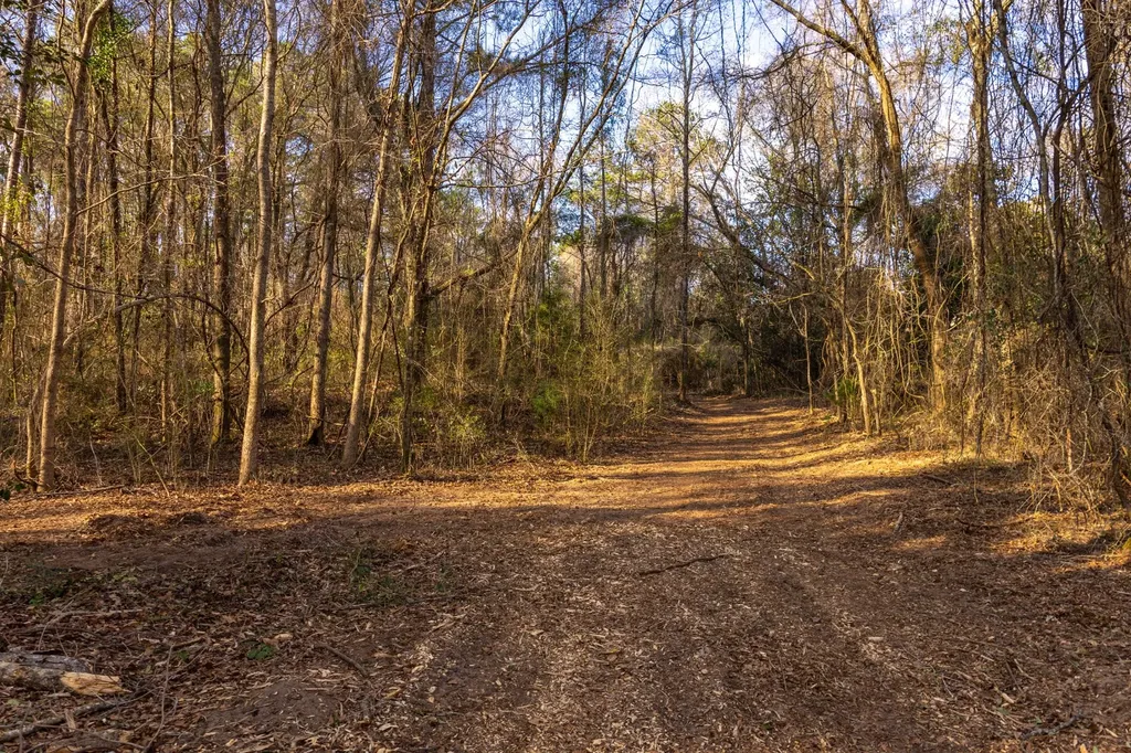 0 County Road 646 Coffee Springs AL 36318