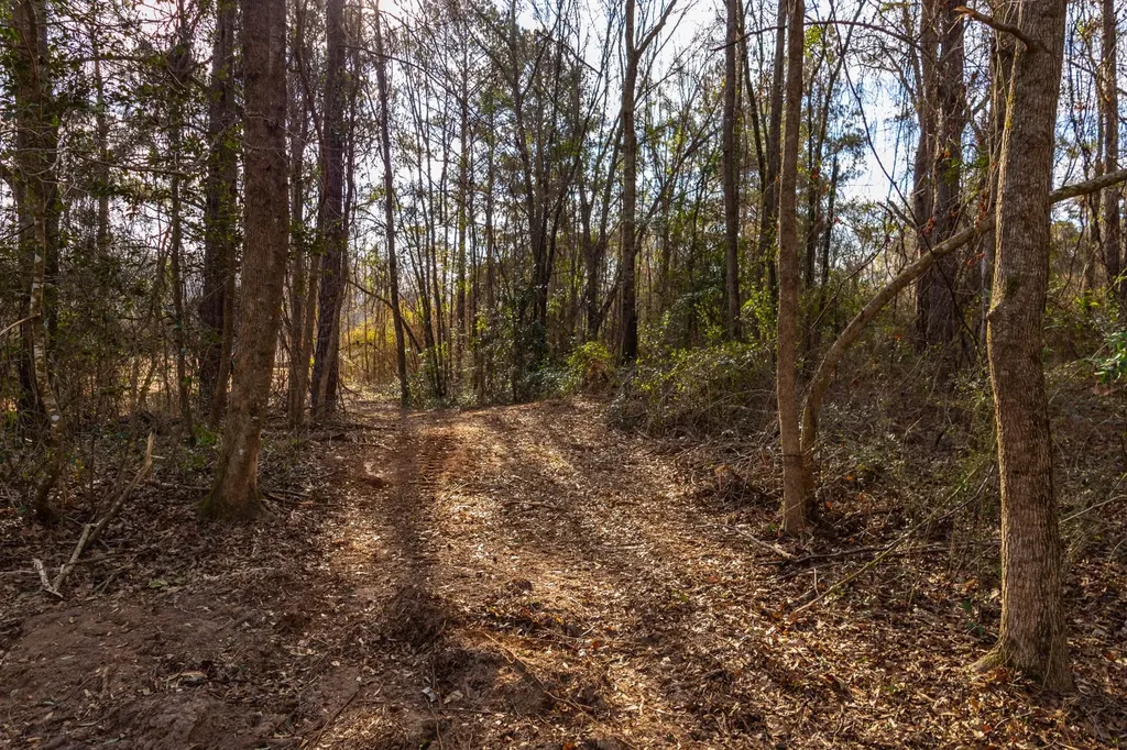 0 County Road 646 Coffee Springs AL 36318