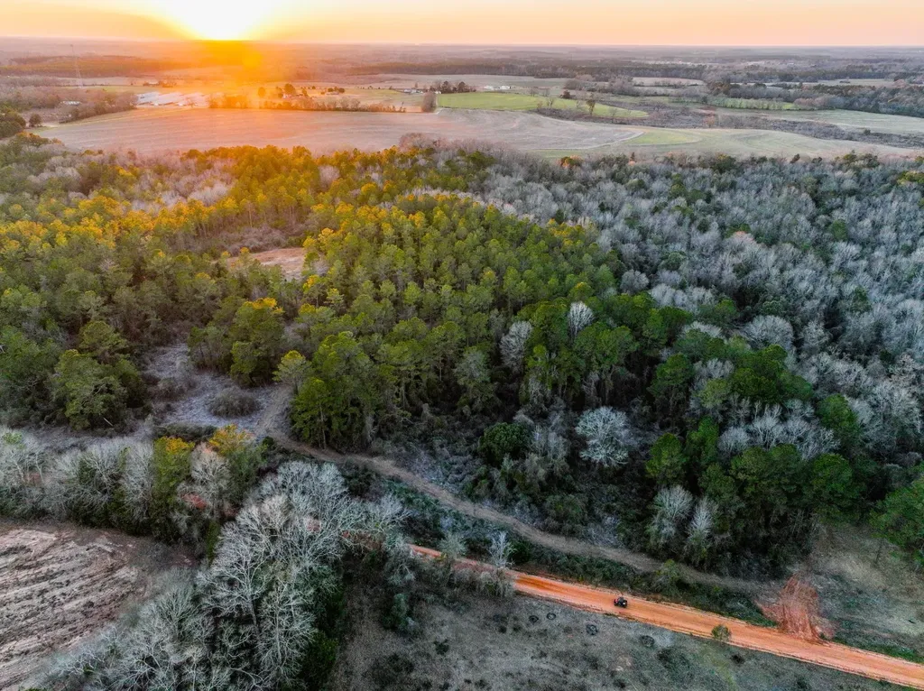 0 County Road 646 Coffee Springs AL 36318