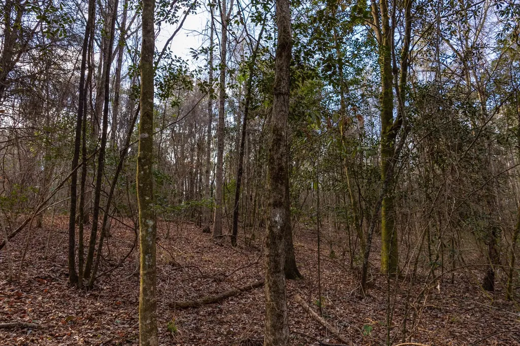 0 County Road 646 Coffee Springs AL 36318