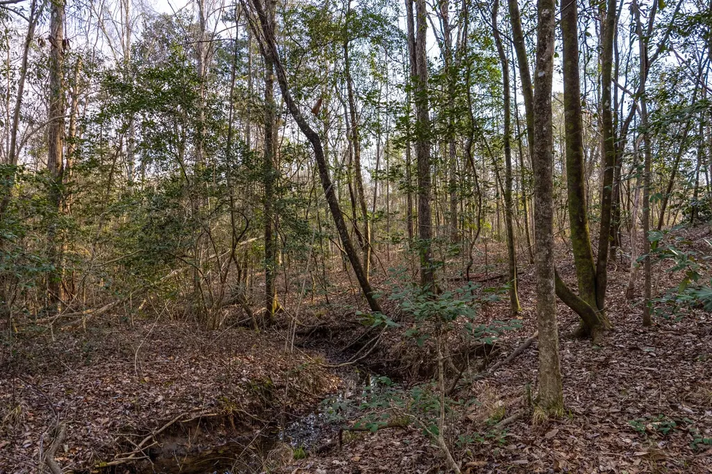 0 County Road 646 Coffee Springs AL 36318