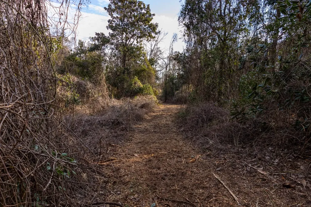 0 County Road 646 Coffee Springs AL 36318