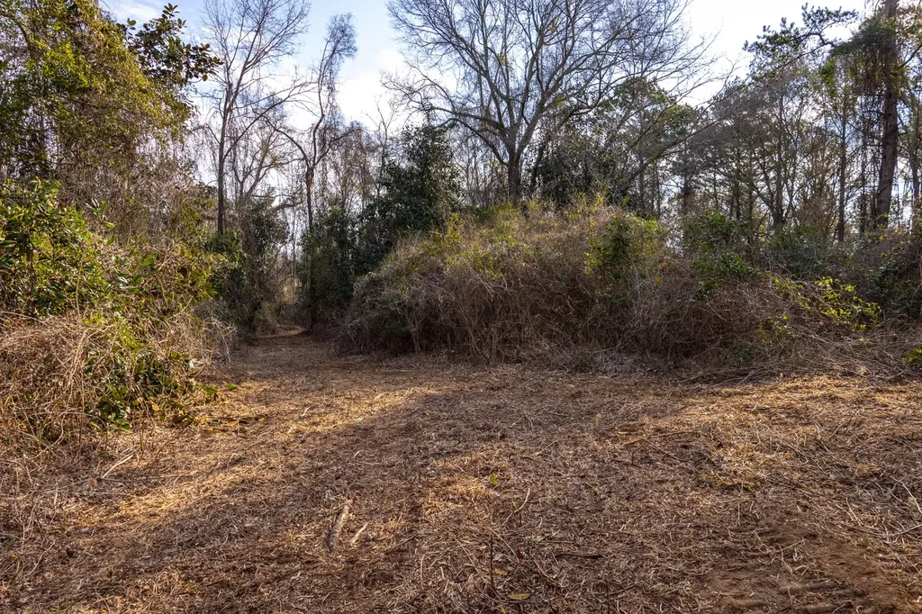 0 County Road 646 Coffee Springs AL 36318