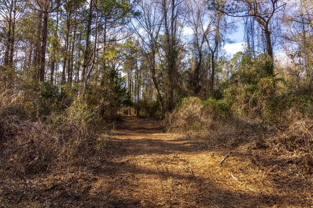 0 County Road 646 Coffee Springs AL 36318