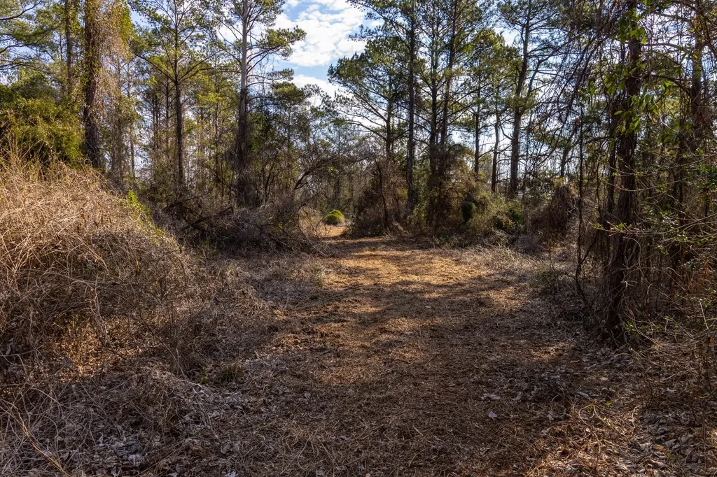 0 County Road 646 Coffee Springs AL 36318