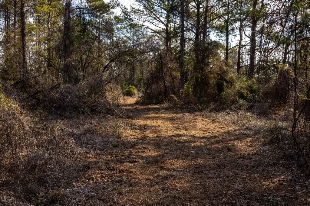 0 County Road 646 Coffee Springs AL 36318