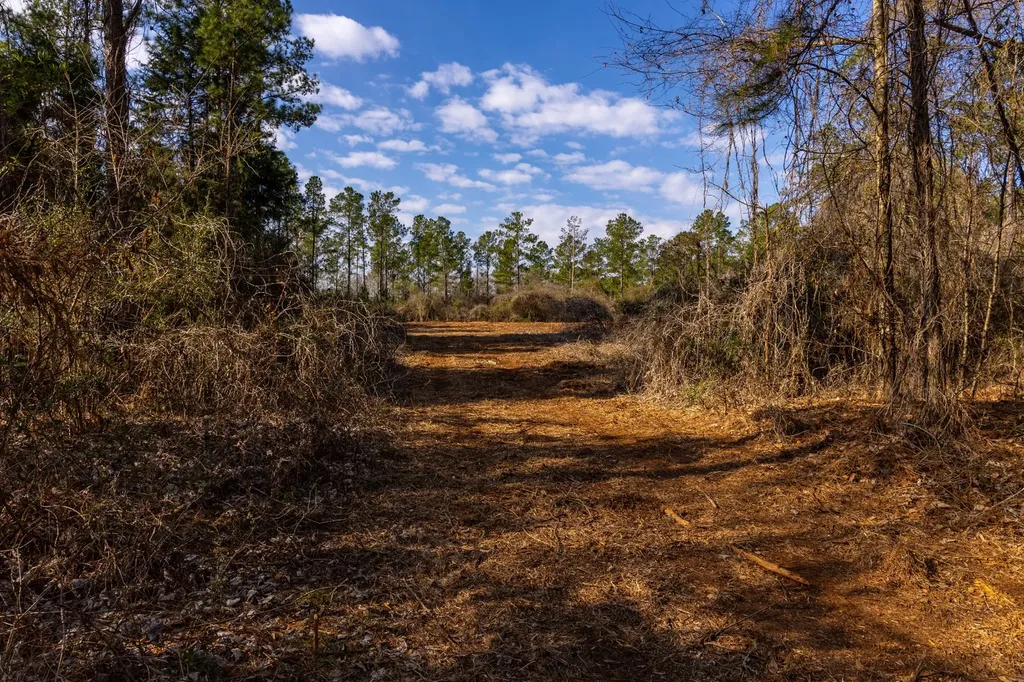 0 County Road 646 Coffee Springs AL 36318