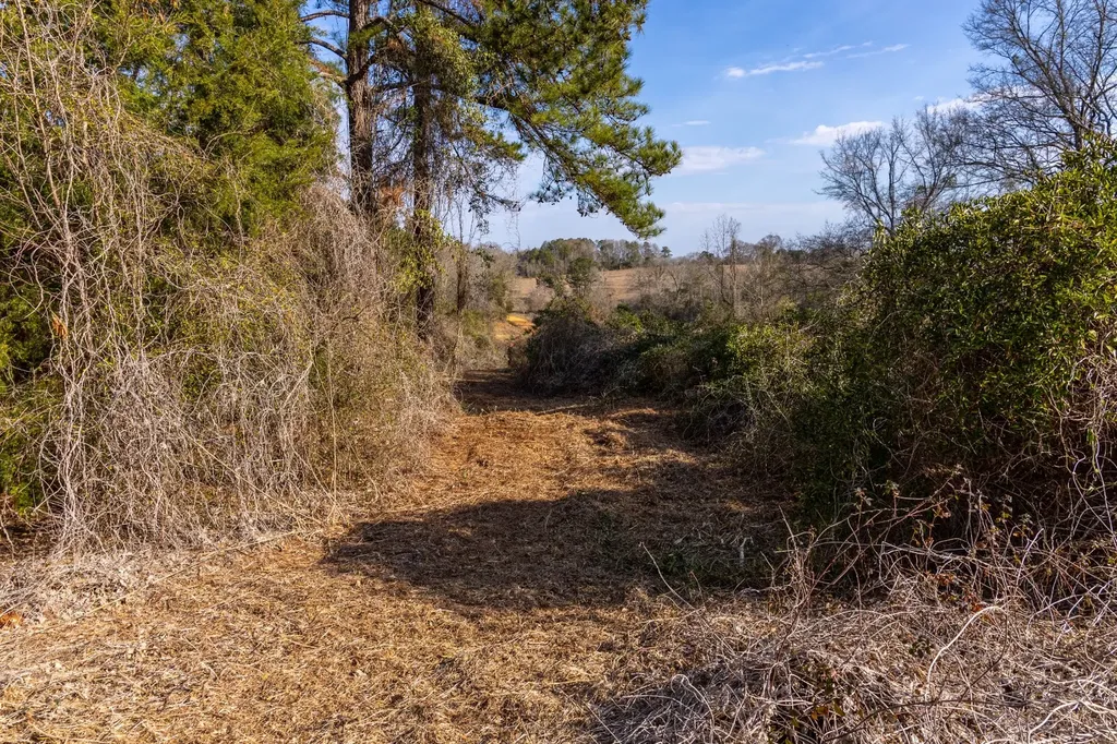 0 County Road 646 Coffee Springs AL 36318