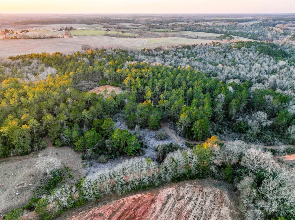 0 County Road 646 Coffee Springs AL 36318