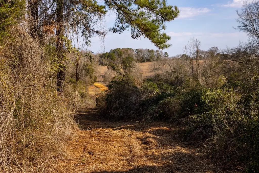 0 County Road 646 Coffee Springs AL 36318