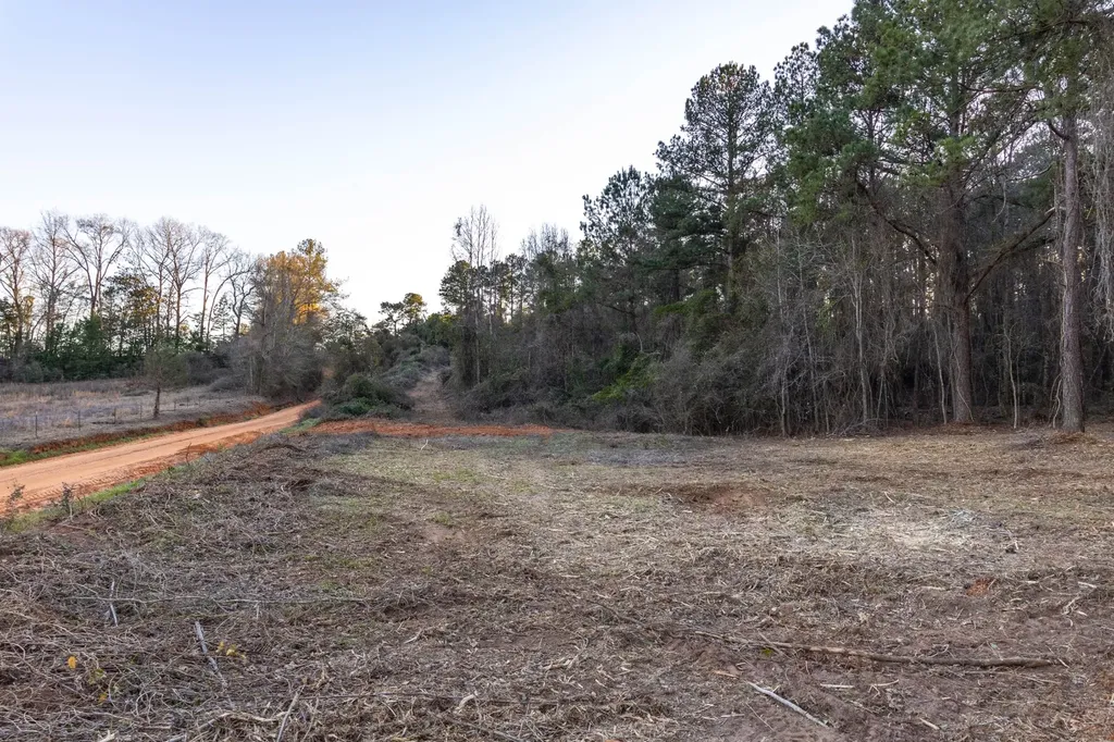 0 County Road 646 Coffee Springs AL 36318