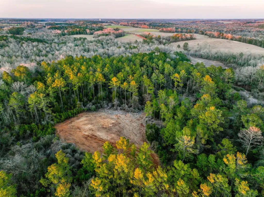 0 County Road 646 Coffee Springs AL 36318