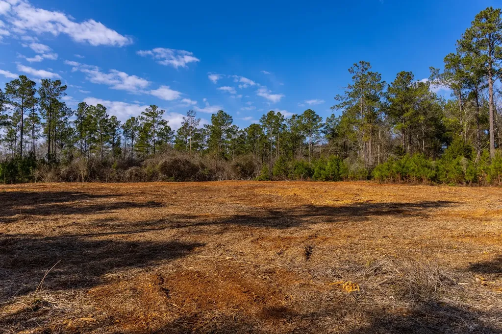 0 County Road 646 Coffee Springs AL 36318