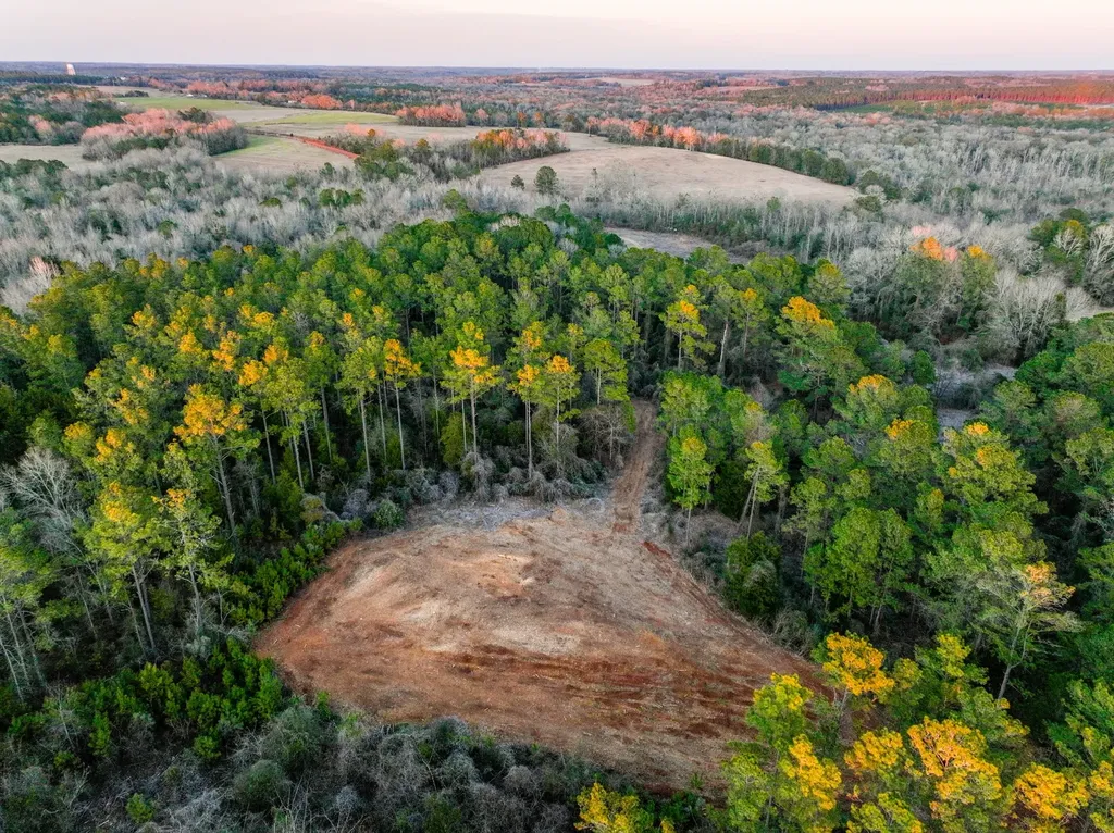 0 County Road 646 Coffee Springs AL 36318