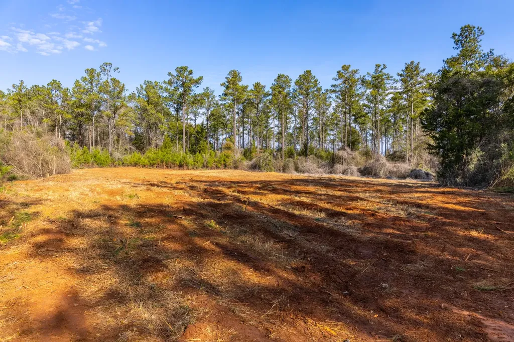 0 County Road 646 Coffee Springs AL 36318