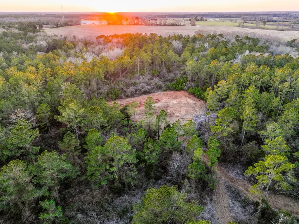 0 County Road 646 Coffee Springs AL 36318