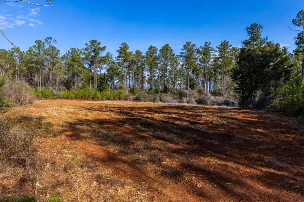 0 County Road 646 Coffee Springs AL 36318