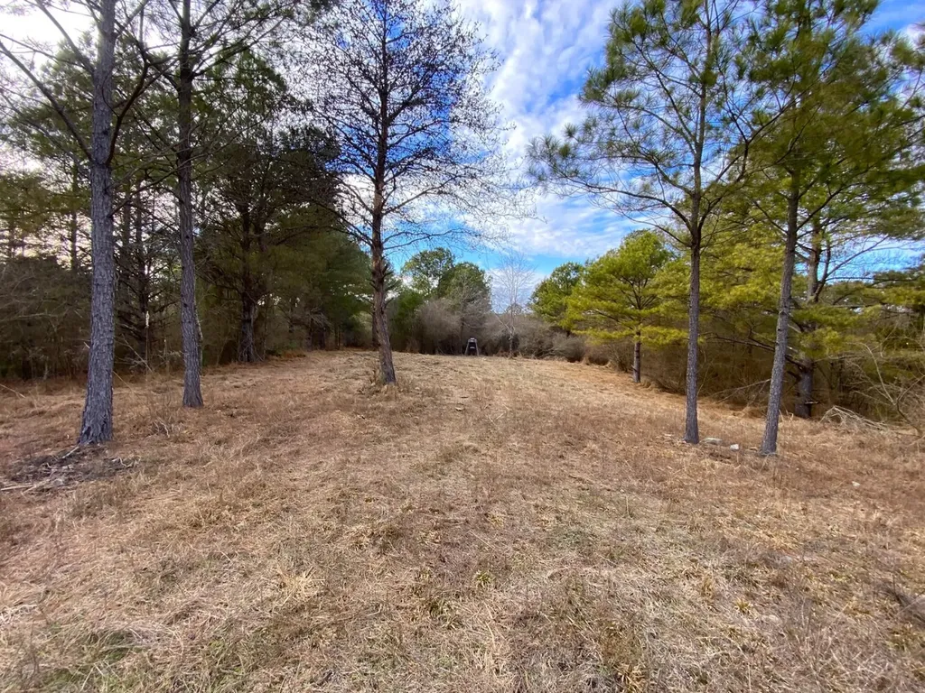 0 Co. Road 9 Eldridge AL 35554