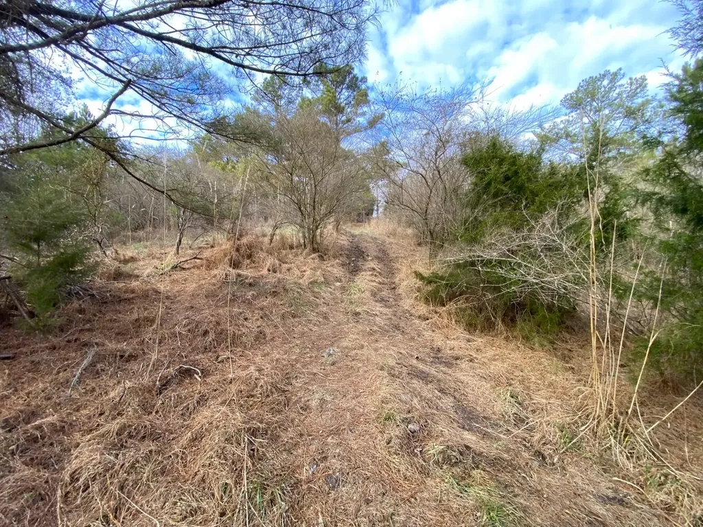 0 Co. Road 9 Eldridge AL 35554