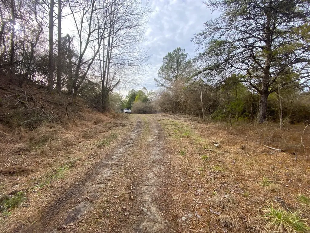 0 Co. Road 9 Eldridge AL 35554