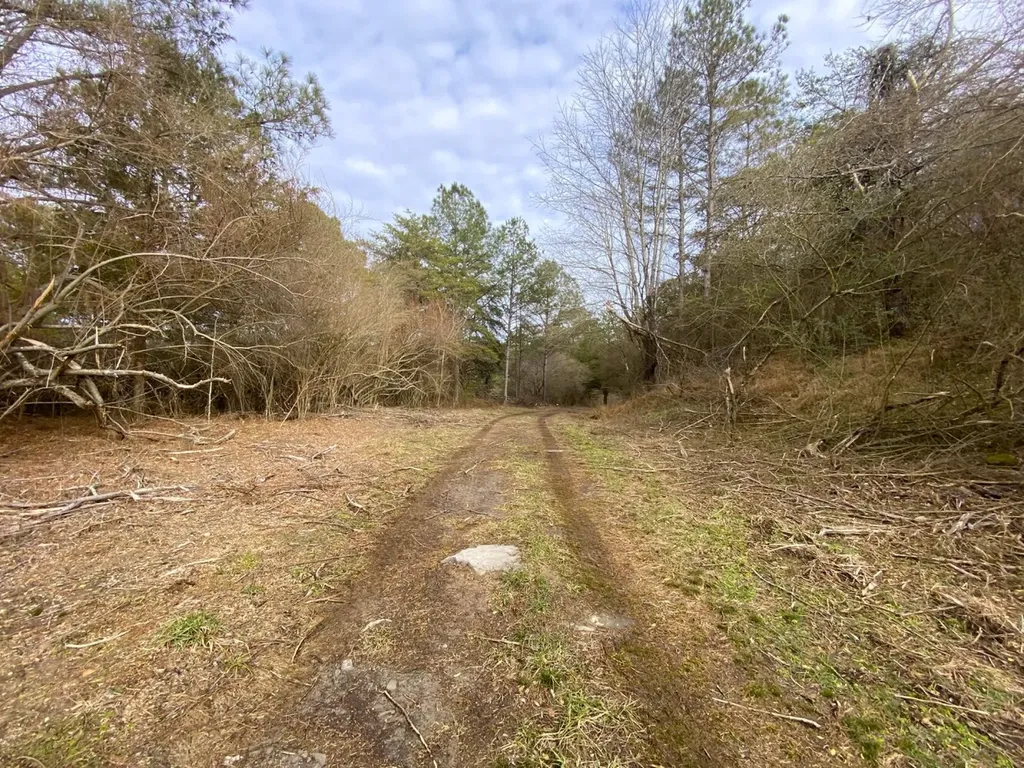 0 Co. Road 9 Eldridge AL 35554