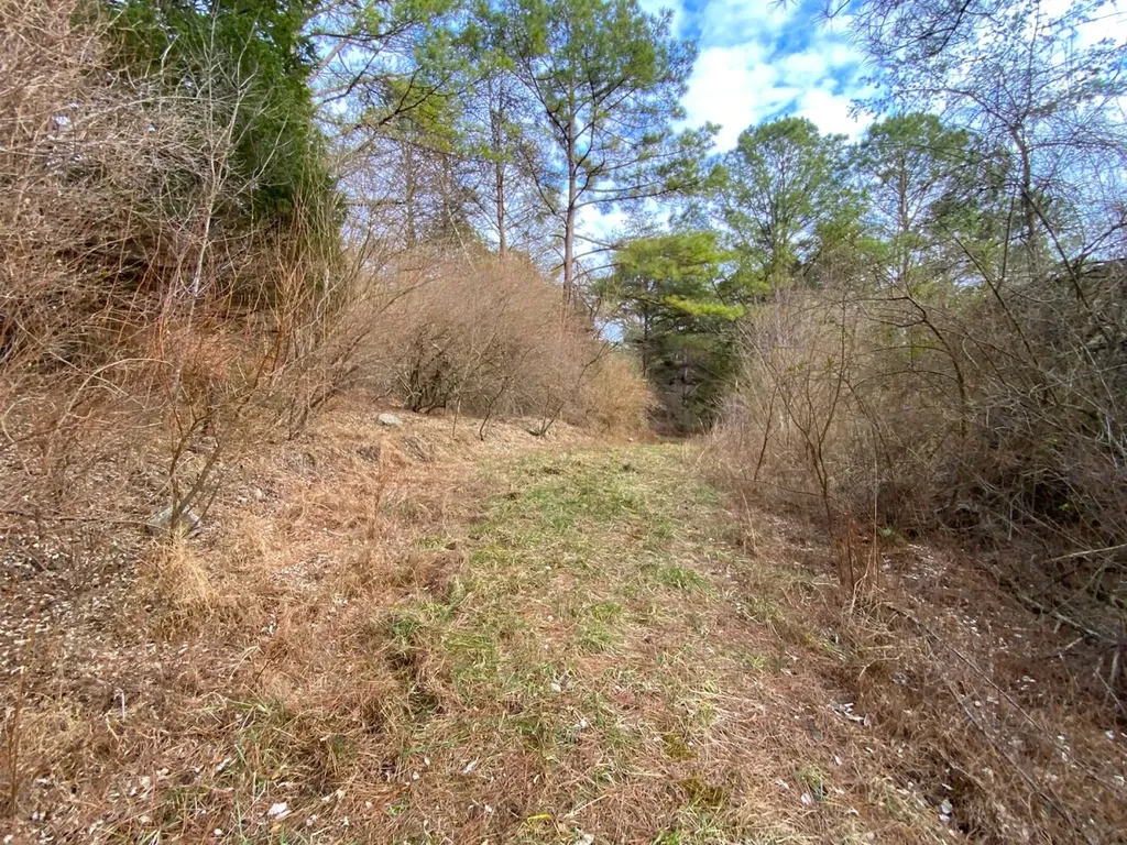 0 Co. Road 9 Eldridge AL 35554
