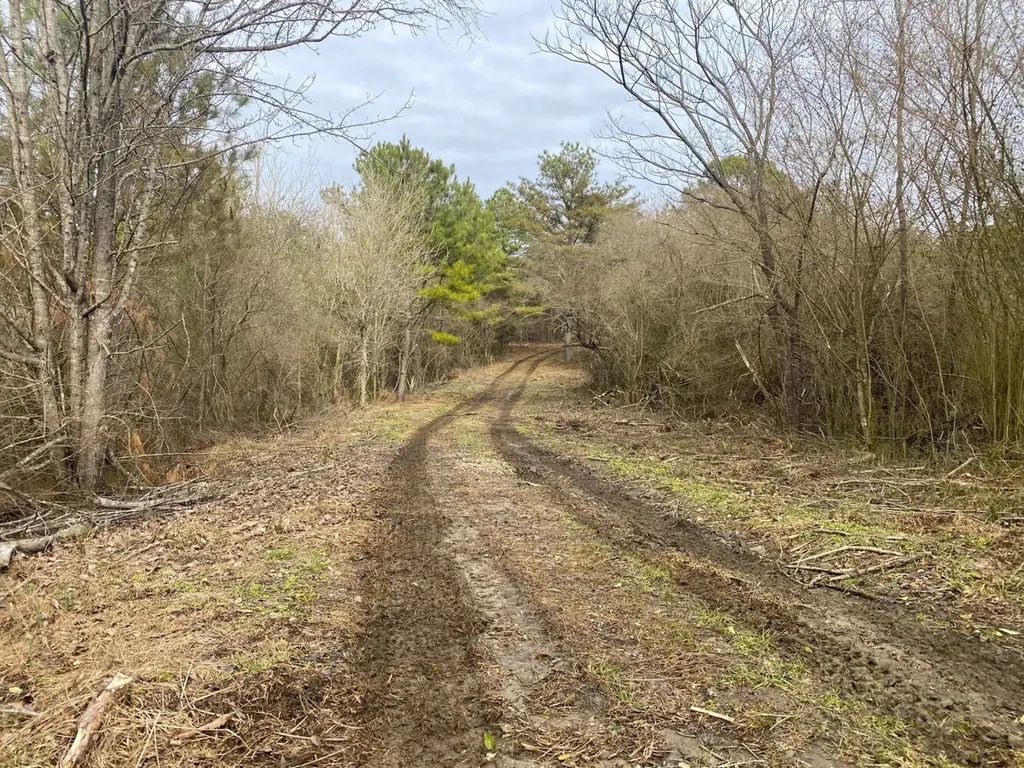 0 Co. Road 9 Eldridge AL 35554