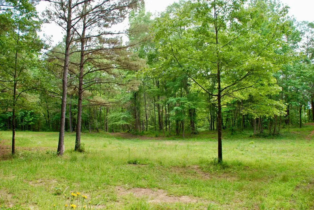 0 Calhoun Road Mccalla AL 35111