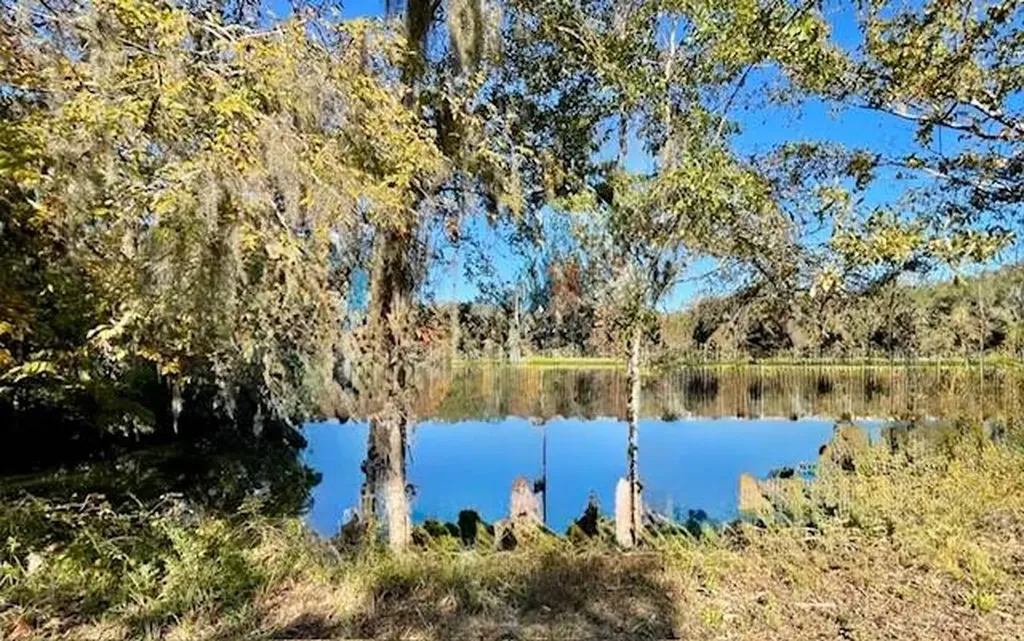 560 Jones River Road Camden AL 36726