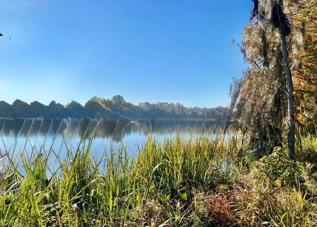 560 Jones River Road Camden AL 36726