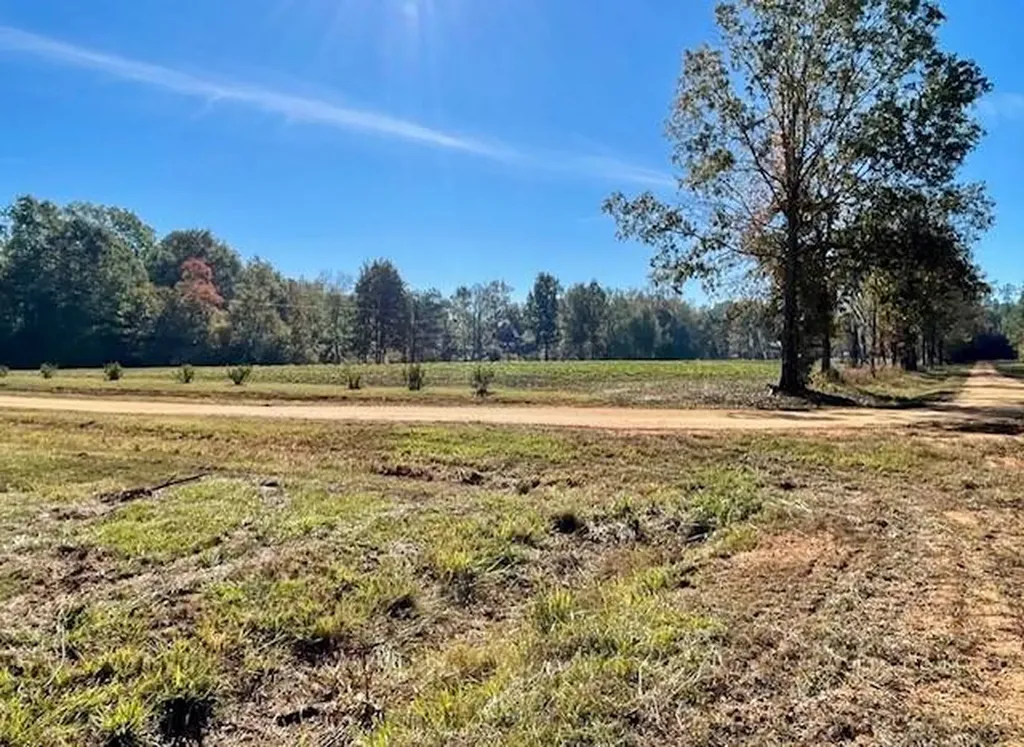 560 Jones River Road Camden AL 36726