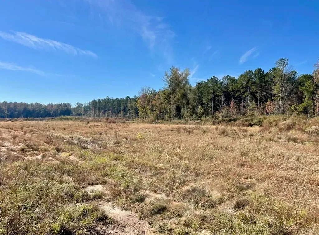 560 Jones River Road Camden AL 36726