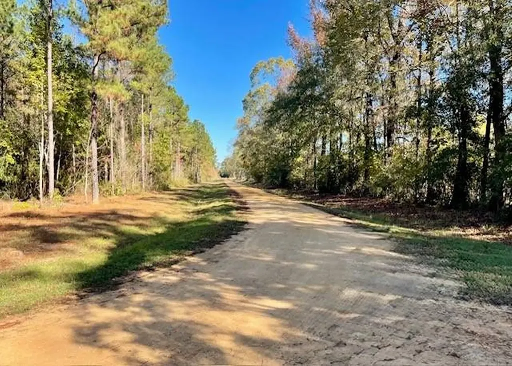 560 Jones River Road Camden AL 36726