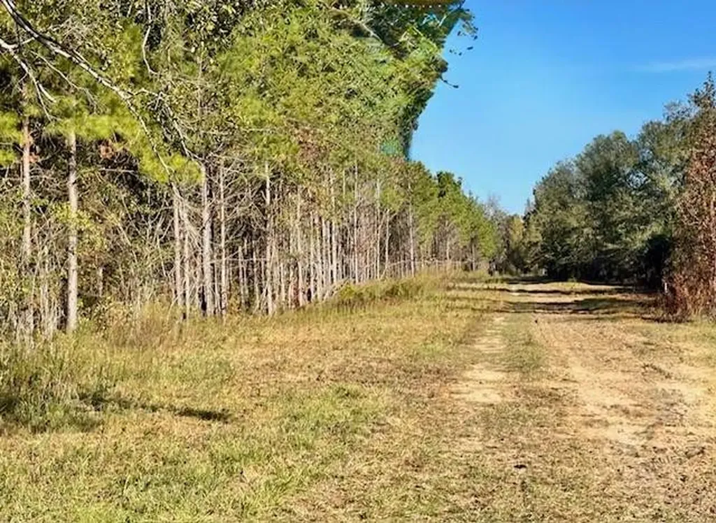 560 Jones River Road Camden AL 36726