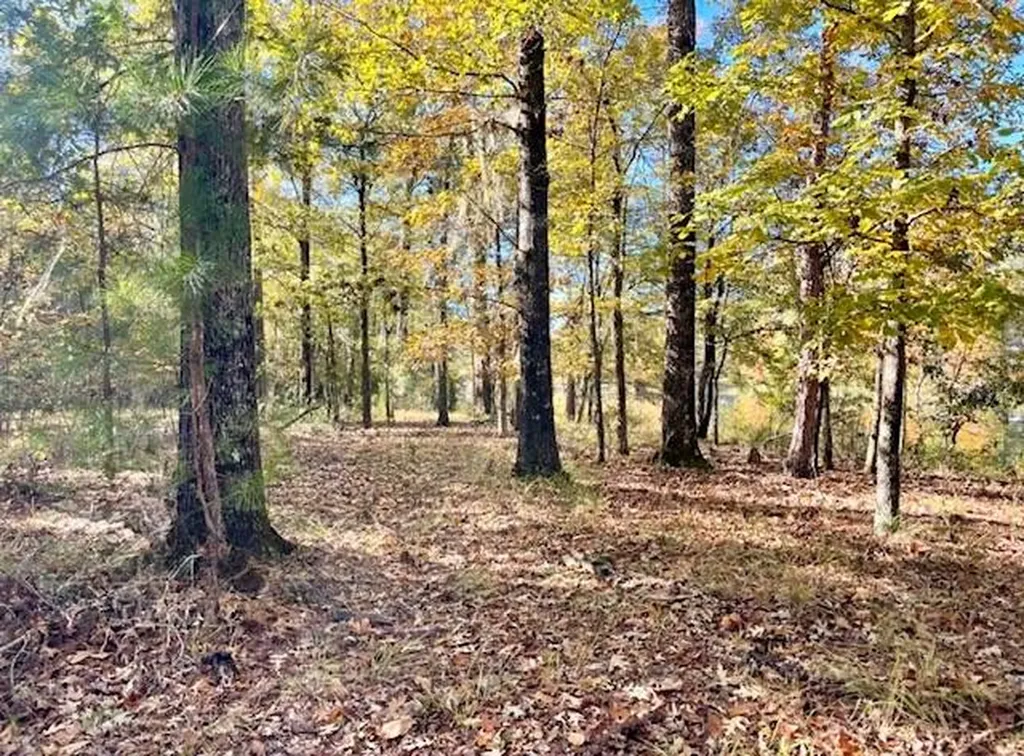 560 Jones River Road Camden AL 36726