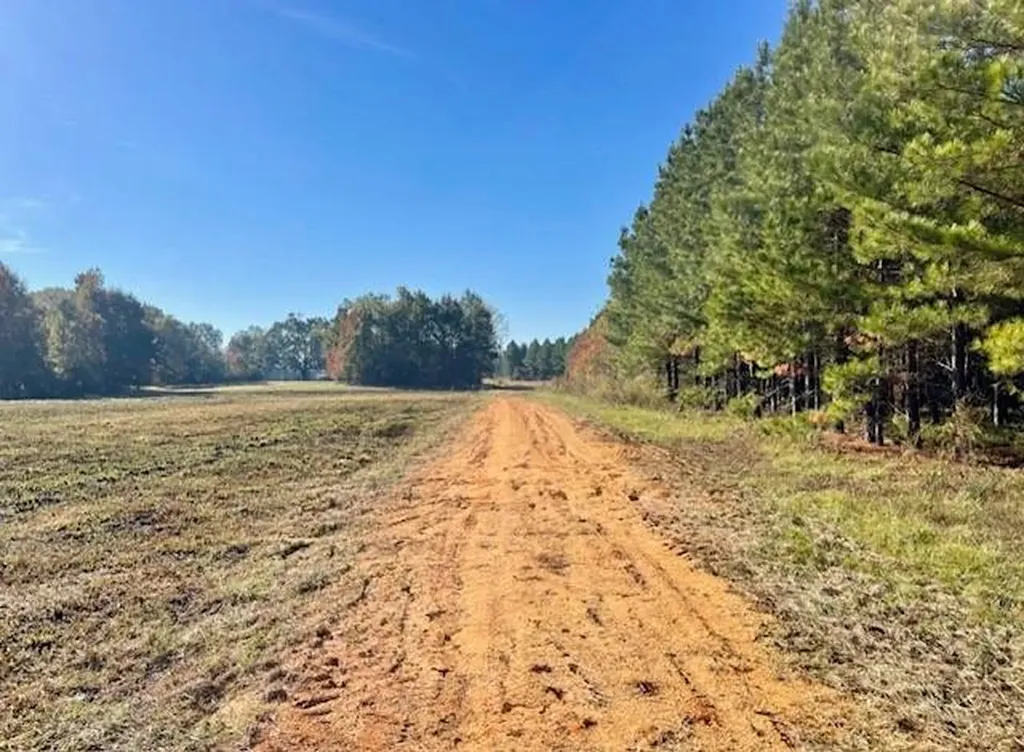 560 Jones River Road Camden AL 36726