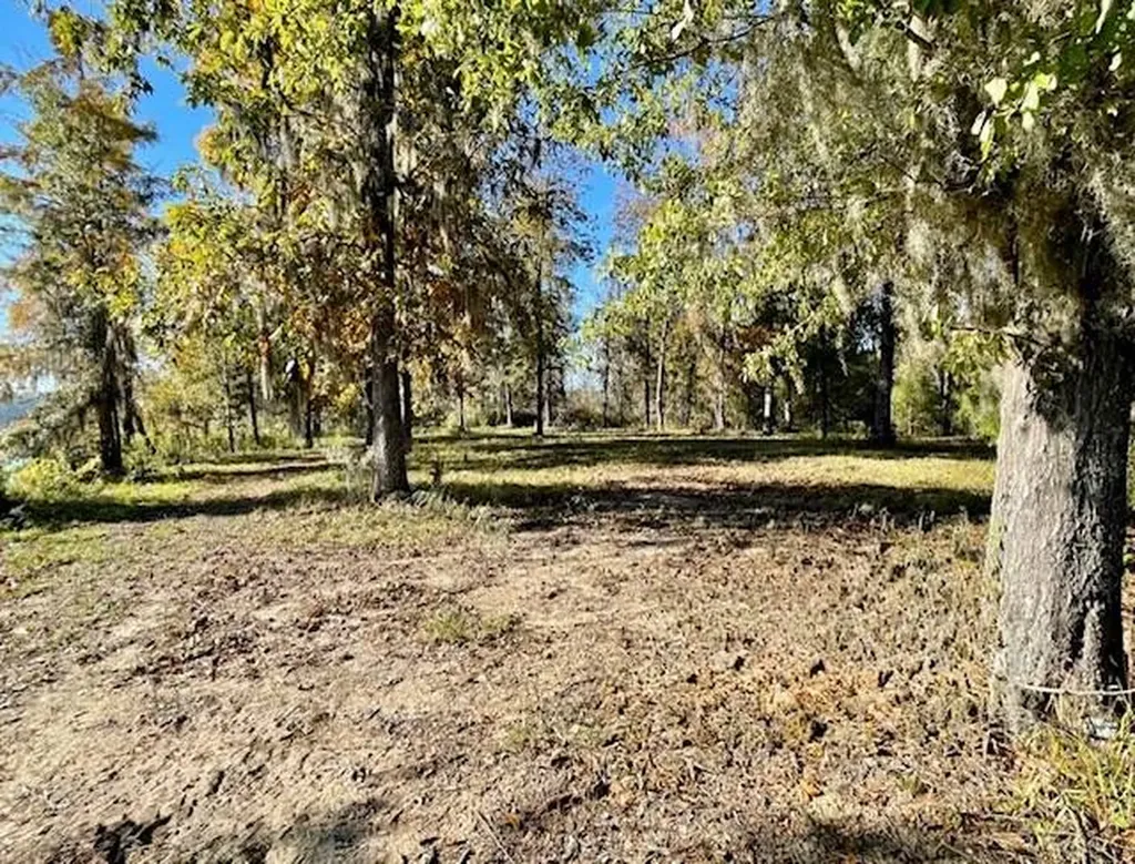 560 Jones River Road Camden AL 36726