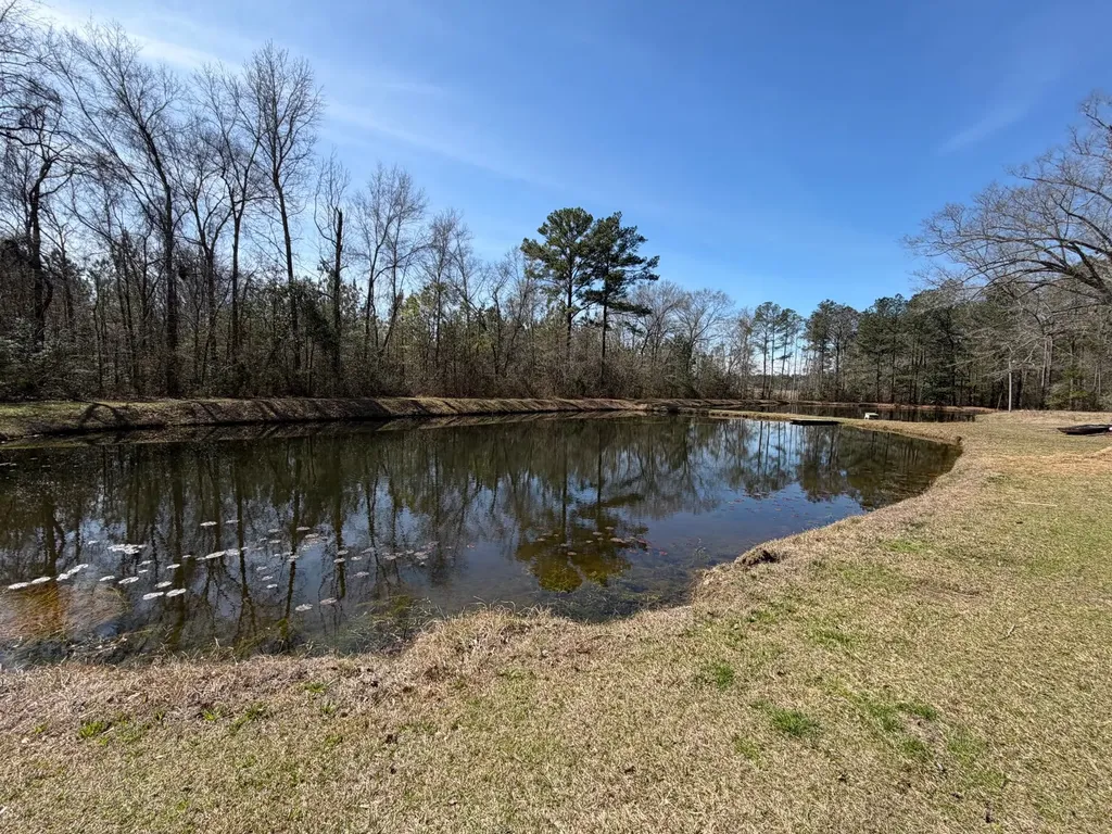 366 Marie Drive Fruitdale AL 36539