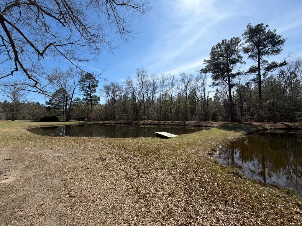 366 Marie Drive Fruitdale AL 36539